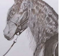 Great Lakes Art Society - Darwin Holiday