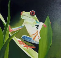 Toukley District Arts Society  Information Centre - Darwin Holiday