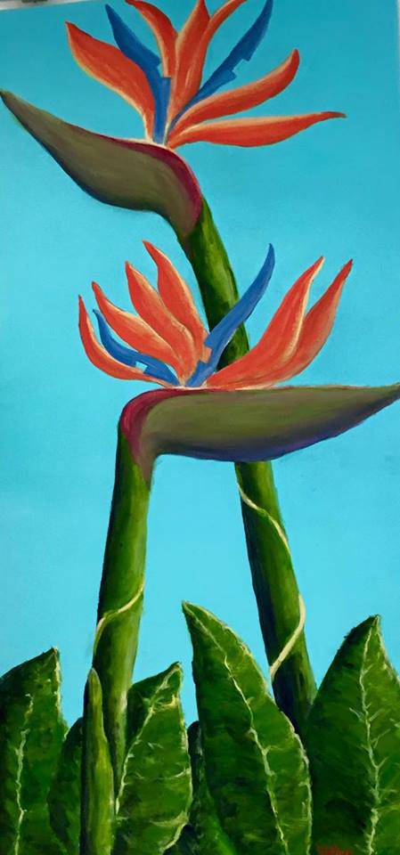 Toukley District Arts Society & Information Centre - Darwin Holiday 1