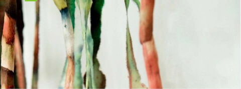 Watch This Space - Darwin Holiday 1