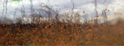 Watch This Space - Darwin Holiday 2