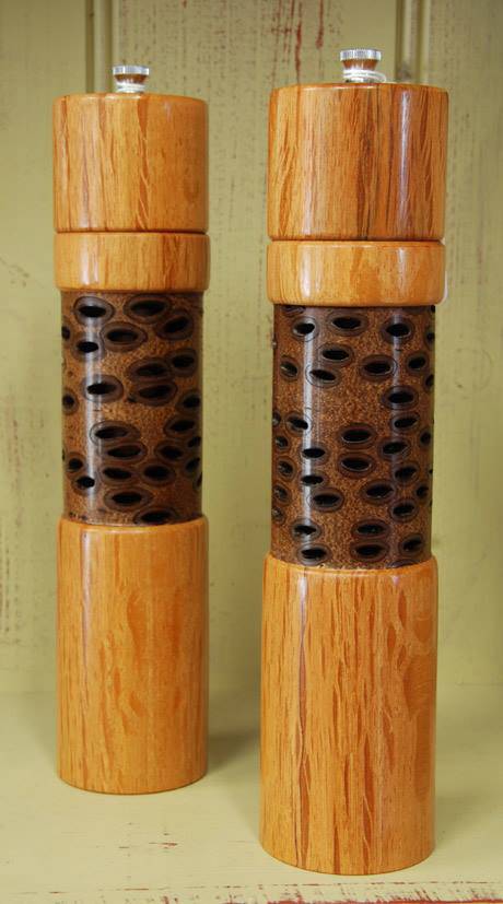 Barking Dog Gallery - Darwin Holiday 0