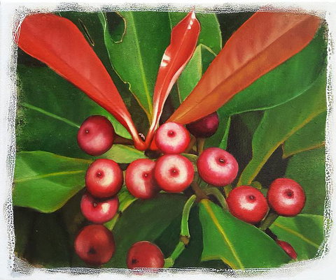 Claire Souter Gallery - Darwin Holiday 2