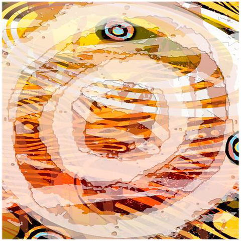 Kingstudio Art & Design Gallery - Darwin Holiday 3