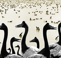 Tin Shed Art Gallery - Darwin Holiday