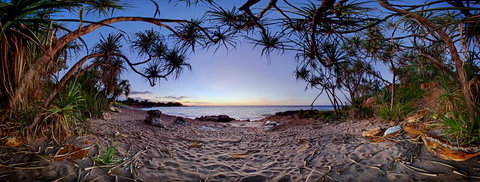 Silva Gallery - Darwin Holiday 3