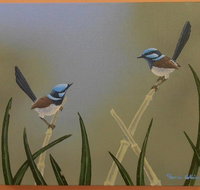 Castlereagh Collectables - Darwin Holiday