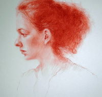 Wide Bay Gallery - Darwin Holiday