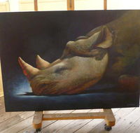 Art on Pallas - Darwin Holiday