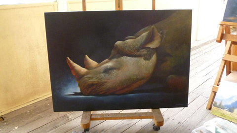 Art On Pallas - Darwin Holiday 0