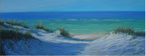 Earthquirks - Darwin Holiday 2