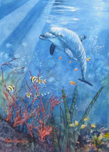 Nada’s Fine Art Gallery - Darwin Holiday 0