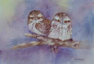 Nada’s Fine Art Gallery - Darwin Holiday 1