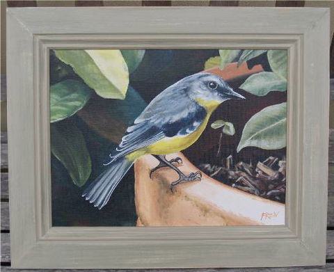 Frew Artworks - Darwin Holiday 2