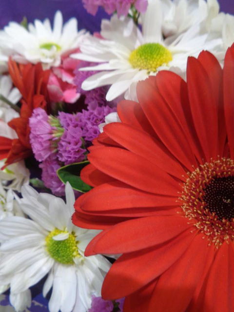 Marysworldart Bali Imports - Darwin Holiday 0