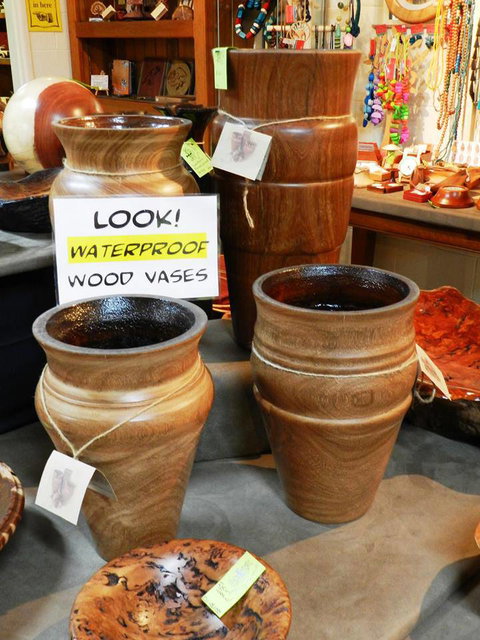 Montville Woods Gallery - Darwin Holiday 1