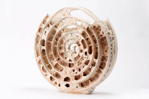 Noosa Regional Gallery - Darwin Holiday 0