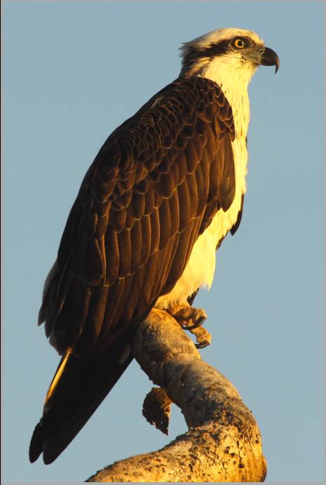 Coastal Visions Photography - Darwin Holiday 2