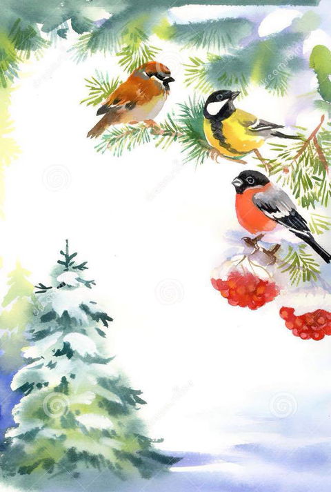 Two Birds Gallery - Darwin Holiday 2
