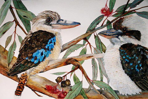 Two Birds Gallery - Darwin Holiday 3