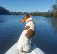 Australis Canoes  Kayaks - Darwin Holiday