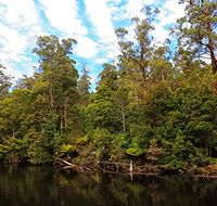 A R Reflections River Cruises - Darwin Holiday