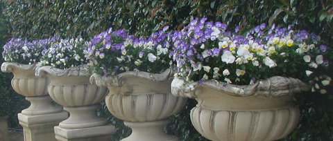 Gardenalia Open Garden And Rare Plant Nursery - Darwin Holiday 0