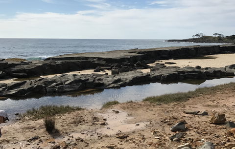 Yamba Tours And Charters - Darwin Holiday 0