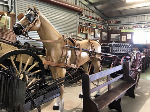 Yamba Tours And Charters - Darwin Holiday 9