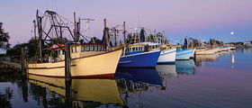 Yamba Tours And Charters - Darwin Holiday 14