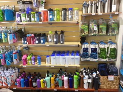 Lone Dingo - Darwin Holiday 2