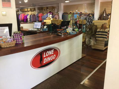 Lone Dingo - Darwin Holiday 3