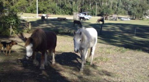 AAA Horse Riding & More - Darwin Holiday 2
