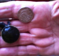 Hurleys Aquariums - Darwin Holiday