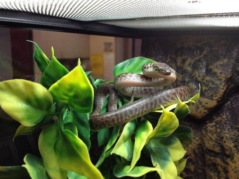 Pets Wonderland - Darwin Holiday 3