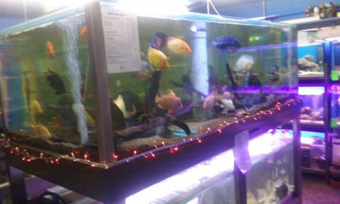 Summerland Aquarium - Darwin Holiday 2