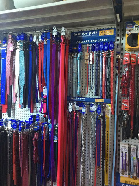 Port Stephens Pet Barn - Darwin Holiday 3