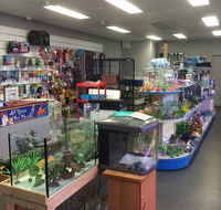 Nambour Pet Shop - Darwin Holiday