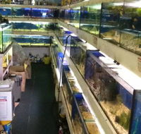 Clearwater Aquariums - Darwin Holiday