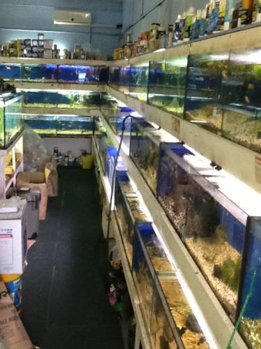 Clearwater Aquariums - Darwin Holiday 0