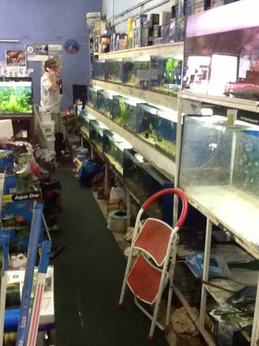 Clearwater Aquariums - Darwin Holiday 1