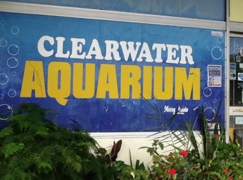 Clearwater Aquariums - Darwin Holiday 2