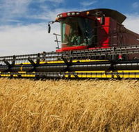Quirindi Grain and produce - Darwin Holiday