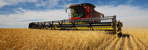 Quirindi Grain And Produce - Darwin Holiday 0