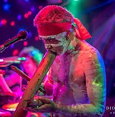 Didgeridoo Jam In The Park - Darwin Holiday 1