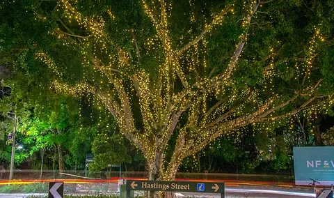 The Sunshine Coast Tour Company - Darwin Holiday 3