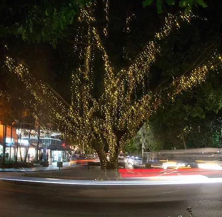 The Sunshine Coast Tour Company - Darwin Holiday 2