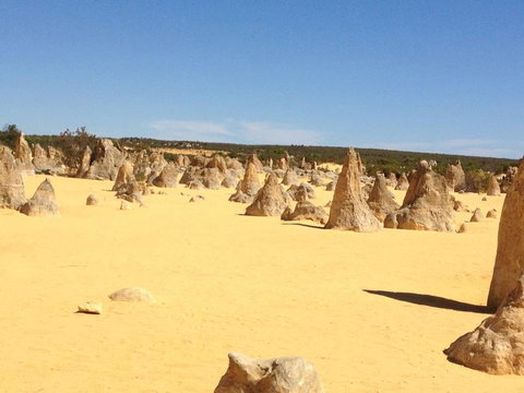 Pinnacles Desert, Koalas And Sandboarding 4WD Day Tour From Perth - Darwin Holiday 15