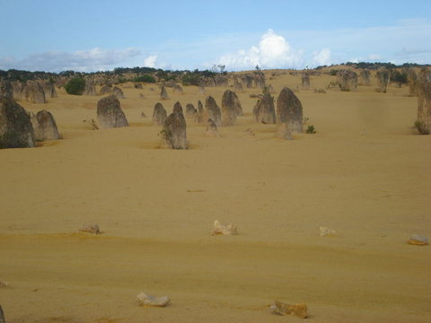 Pinnacles Desert, Koalas And Sandboarding 4WD Day Tour From Perth - Darwin Holiday 23