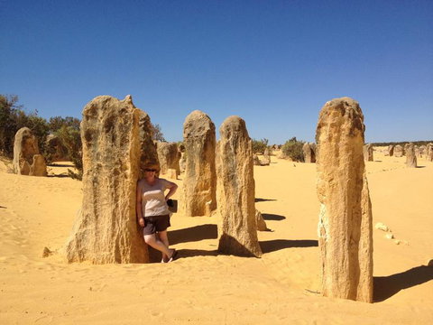 Pinnacles Desert, Koalas And Sandboarding 4WD Day Tour From Perth - Darwin Holiday 17